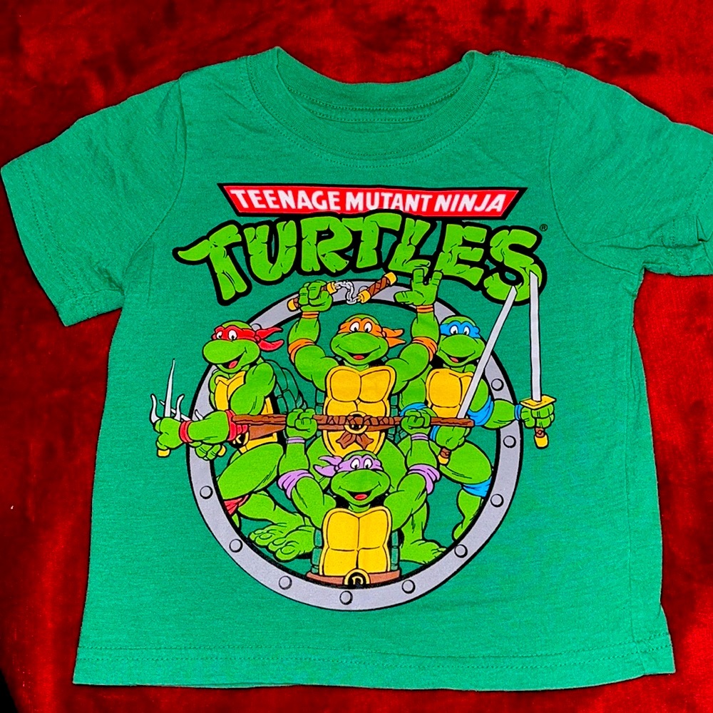 Teenage mutant Ninja turtles 🐢